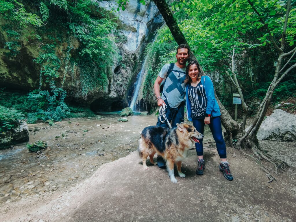 Viaggiare con un cane