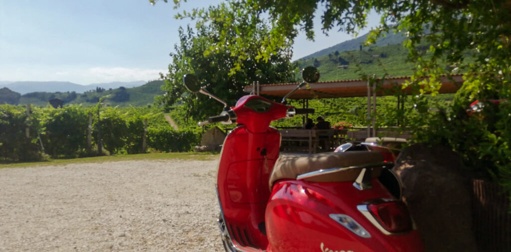 colline del prosecco cosa vedere